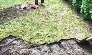 Снятие дерна старого газона в Долгопрудном – от 515 руб. | ИП Садыков В. Р.